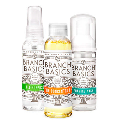 BranchBasics-400x